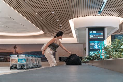 airport luggage tracking